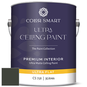 COLOR SMART CS 758 ULTRA CEILING PAINT ультраматовая краска цвет RAL 6006 