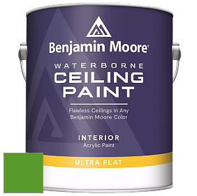 Benjamin Moore 508 Waterborne Ceiling Paint краска для потолков цвет 2032-10 Neon Green