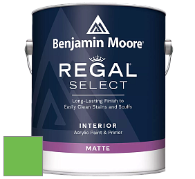Benjamin Moore 548 IRegal Select Interior Paint - Matte краска цвет NCS S 0575-G20Y 