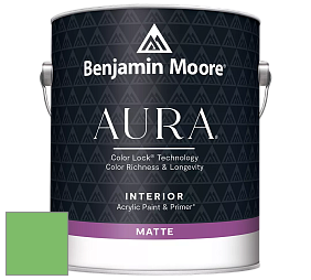 Benjamin Moore Aura 522 Interior Paint - Matte краска цвет NCS S 1060-G20Y 