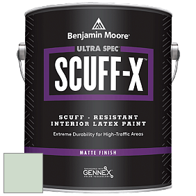 Benjamin Moore 484 Ultra Spec SCUFF-X Interior Matte Finish краска цвет NCS S 1010-G10Y 
