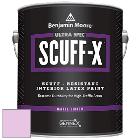 Benjamin Moore 484 Ultra Spec SCUFF-X Interior Matte Finish краска цвет 2076-60 Dog's Ear