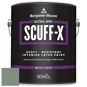 Benjamin Moore 484 Ultra Spec SCUFF-X Interior Matte Finish краска цвет 699 Garden Oasis