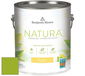 Benjamin Moore 512 Natura Interior Flat Finish матовая краска цвет NCS S 1075-G40Y 