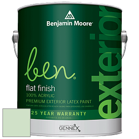 Benjamin Moore Ben 541 Waterborne Exterior Flat Finish краска цвет 2034-60 Light Pistachio