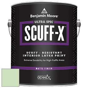 Benjamin Moore 484 Ultra Spec SCUFF-X Interior Matte Finish краска цвет 548 Pastel Green