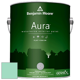 Benjamin Moore Aura 629 Waterborne Exterior Flat Finish краска цвет 2038-50 Return to Paradise