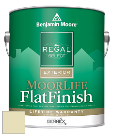 Benjamin Moore W105 Regal Select Exterior Paint-MoorLife Flat Finish краска цвет 2146-50 Rainforest Dew