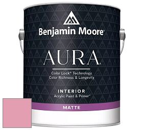 Benjamin Moore Aura 522 Interior Paint - Matte краска цвет NCS S 1040-R20B 