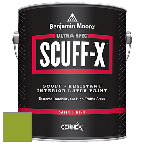 Benjamin Moore 486 Ultra Spec SCUFF-X Interior Satin Finish краска цвет 2028-20 Douglas Fir