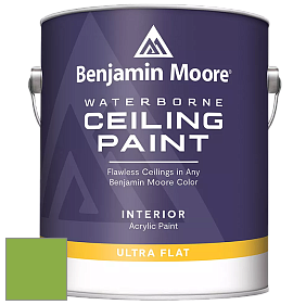 Benjamin Moore 508 Waterborne Ceiling Paint краска для потолков цвет 420 Apple Lime Cocktail