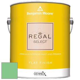 Benjamin Moore 547 Regal Select Waterborne Interior Flat Finish краска цвет NCS S 1050-G10Y 