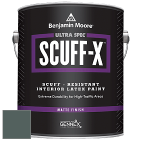 Benjamin Moore 484 Ultra Spec SCUFF-X Interior Matte Finish краска цвет 2123-10 Mediterranean Teal