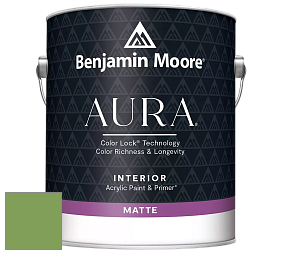 Benjamin Moore Aura 522 Interior Paint - Matte краска цвет 552 Pleasant Grove