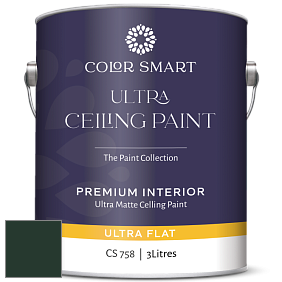 COLOR SMART CS 758 ULTRA CEILING PAINT ультраматовая краска цвет RAL 6009 
