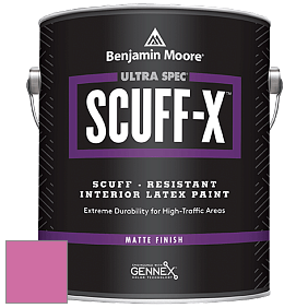 Benjamin Moore 484 Ultra Spec SCUFF-X Interior Matte Finish краска цвет NCS S 1060-R30B 