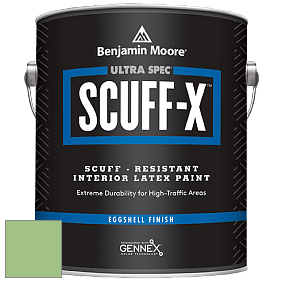 Benjamin Moore 485 Ultra Spec SCUFF-X Interior Eggshell Finish краска цвет 551 Exotic Bloom