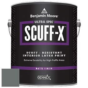 Benjamin Moore 484 Ultra Spec SCUFF-X Interior Matte Finish краска цвет RAL 7005 
