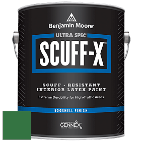 Benjamin Moore 485 Ultra Spec SCUFF-X Interior Eggshell Finish краска цвет 2037-10 Amazon Moss