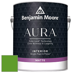 Benjamin Moore Aura 522 Interior Paint - Matte краска цвет 2030-10 Lizard Green