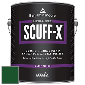 Benjamin Moore 484 Ultra Spec SCUFF-X Interior Matte Finish краска цвет RAL 6035 