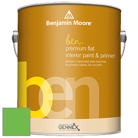 Benjamin Moore Ben W625 Premium Interior Latex Flat краска цвет NCS S 0575-G20Y 