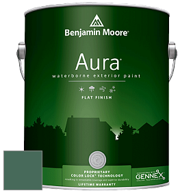 Benjamin Moore Aura 629 Waterborne Exterior Flat Finish краска цвет 2041-20 Fiddlehead Green