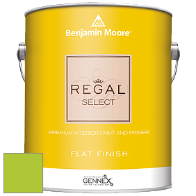 Benjamin Moore 547 Regal Select Waterborne Interior Flat Finish краска цвет NCS S 0575-G40Y 