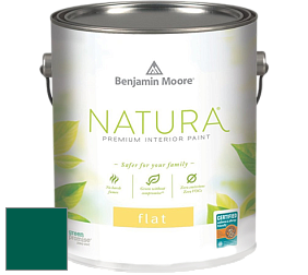 Benjamin Moore 512 Natura Interior Flat Finish матовая краска цвет RAL 6036 