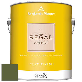 Benjamin Moore 547 Regal Select Waterborne Interior Flat Finish краска цвет NCS S 5540-G40Y 