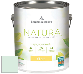 Benjamin Moore 512 Natura Interior Flat Finish матовая краска цвет 582 Cool Mint