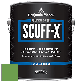 Benjamin Moore 485 Ultra Spec SCUFF-X Interior Eggshell Finish краска цвет 560 Sullivan Green