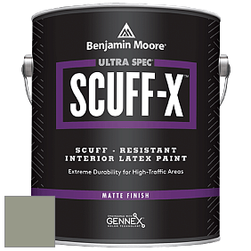 Benjamin Moore 484 Ultra Spec SCUFF-X Interior Matte Finish краска цвет NCS S 4010-G50Y 