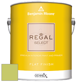 Benjamin Moore 547 Regal Select Waterborne Interior Flat Finish краска цвет 2028-40 Pear Green