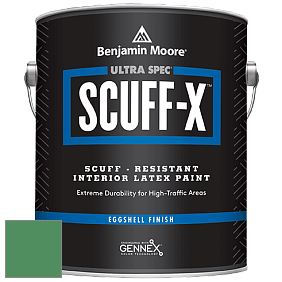 Benjamin Moore 485 Ultra Spec SCUFF-X Interior Eggshell Finish краска цвет NCS S 3050-G10Y 