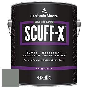 Benjamin Moore 484 Ultra Spec SCUFF-X Interior Matte Finish краска цвет HC-163 BM HC-163