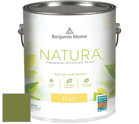 Benjamin Moore 512 Natura Interior Flat Finish матовая краска цвет NCS S 4050-G50Y 