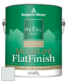 Benjamin Moore W105 Regal Select Exterior Paint-MoorLife Flat Finish краска цвет 874 Fanfare