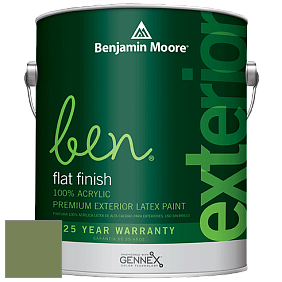 Benjamin Moore Ben 541 Waterborne Exterior Flat Finish краска цвет 546 Courtyard Green