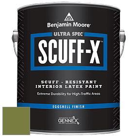 Benjamin Moore 485 Ultra Spec SCUFF-X Interior Eggshell Finish краска цвет NCS S 4050-G50Y 