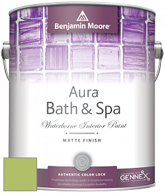 Benjamin Moore Aura 532 Bath & Spa Waterborne Interior Paint Matte Finish краска цвет 412 Springhill Green