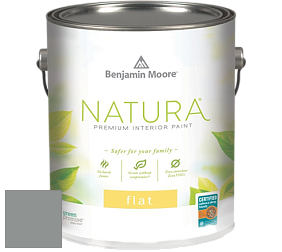 Benjamin Moore 512 Natura Interior Flat Finish матовая краска цвет NCS S 4502-G 