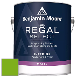 Benjamin Moore 548 IRegal Select Interior Paint - Matte краска цвет 2031-20 Paradise Green