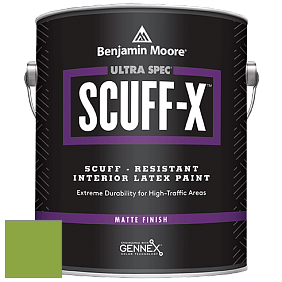 Benjamin Moore 484 Ultra Spec SCUFF-X Interior Matte Finish краска цвет 2029-30 Rosemary Green