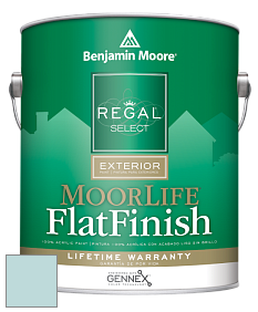 Benjamin Moore W105 Regal Select Exterior Paint-MoorLife Flat Finish краска цвет 2051-60 Bird's Egg