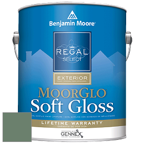 Benjamin Moore W096 Regal Select Exterior Paint-Moor GloSoft Gloss Finish краска цвет 636 Willow Grove