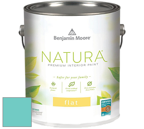 Benjamin Moore 512 Natura Interior Flat Finish матовая краска цвет NCS S 1040-B50G 