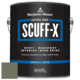 Benjamin Moore 485 Ultra Spec SCUFF-X Interior Eggshell Finish краска цвет NCS S 6010-G50Y 