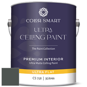 COLOR SMART CS 758 ULTRA CEILING PAINT ультраматовая краска цвет RAL 7043 