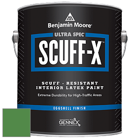 Benjamin Moore 485 Ultra Spec SCUFF-X Interior Eggshell Finish краска цвет NCS S 3060-G20Y 